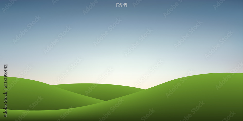 Obraz premium Green grass hill and sunset sky background. Outdoor natural background for template design. Vector.