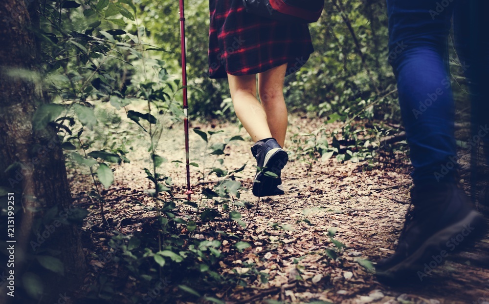 Trekking in a forest Trekking in a forest