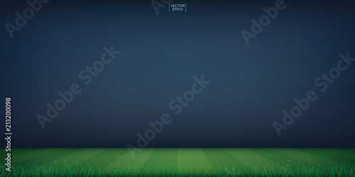 Soccer field or football field stadium background. Vector.