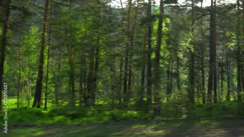 Wallpaper Mural View of the wood. Nature. Shooting in the movement. Mountain area. Torontodigital.ca