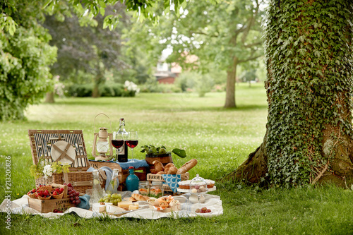 Outdoors lifestyle picnic in a lush green park