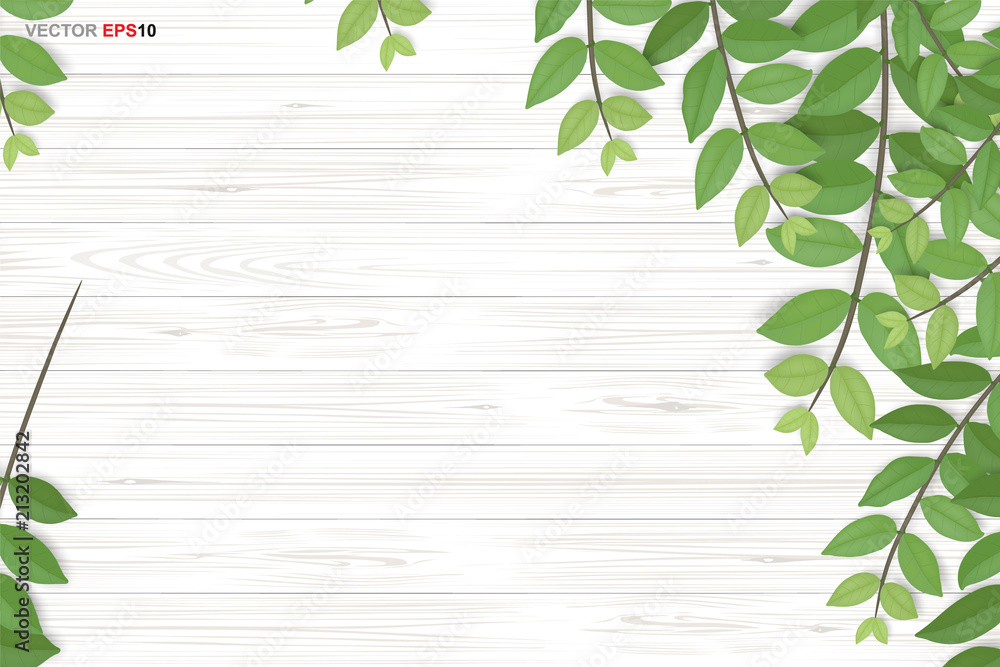 Fototapeta premium Wood texture background with green leaves. Vector illustration.