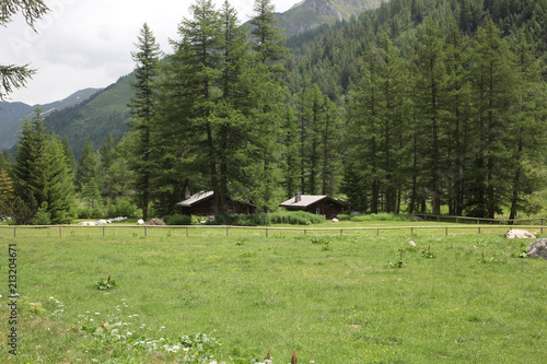 two traditional alpine houses on Italian Alps