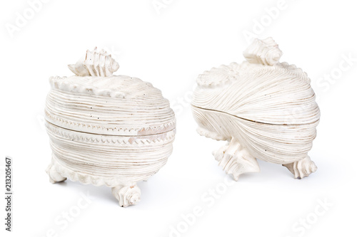 sea shell interior decor isolated on white photo
