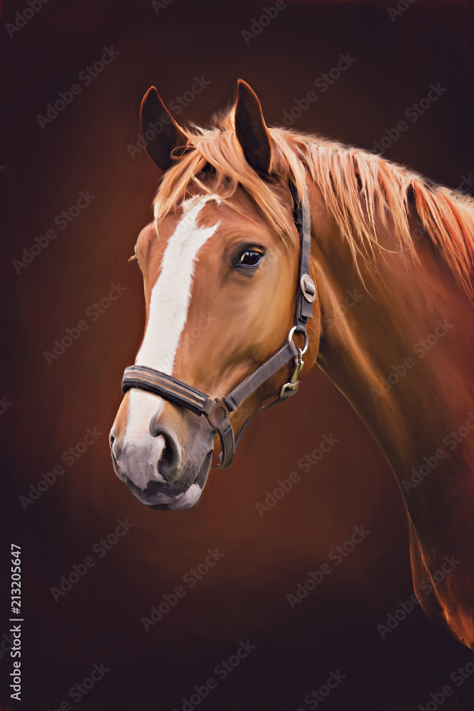 Obraz portret konia