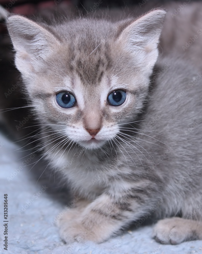 Sklep Internetowy Naklejamy Com