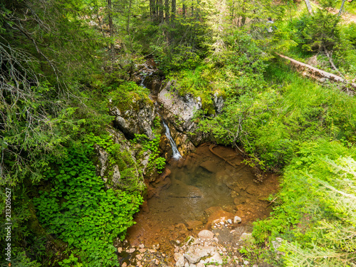 View on forest and little river rusty color in National Park Durmitor, Montenegro