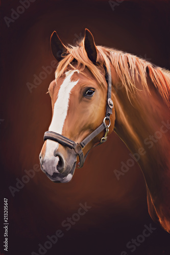 Fototapeta portret konia
