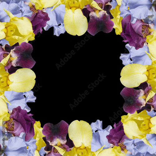 Fototapeta Naklejka Na Ścianę i Meble -  Beautiful floral background of irises 