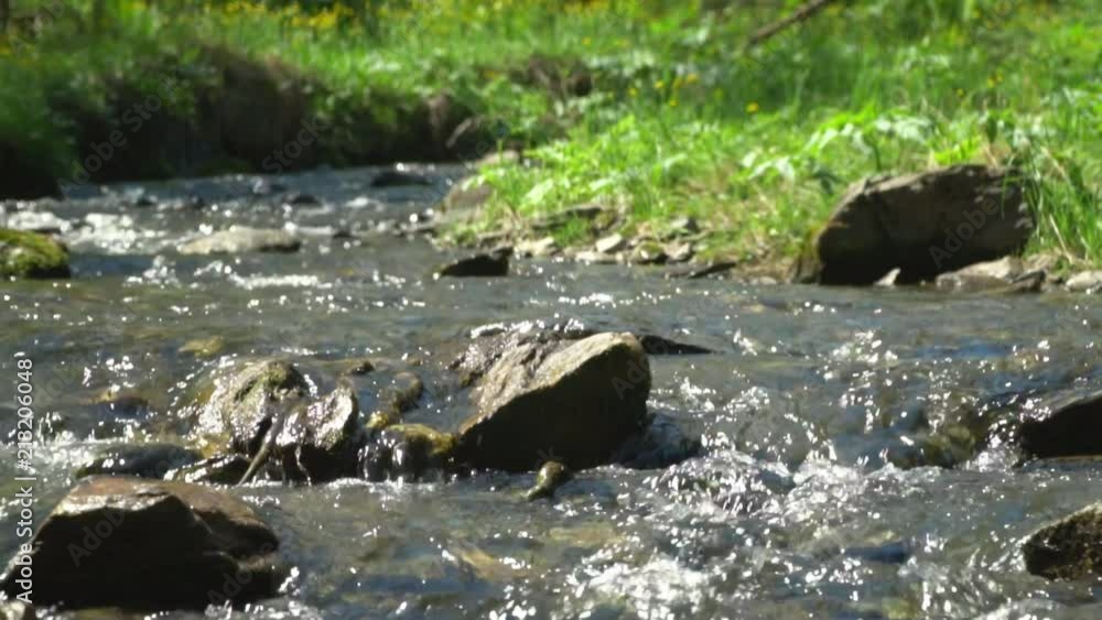 The woman the traveler with a backpack and sticks for tracking passes a mountain stream. The woman the traveler with a backpack and sticks for tracking passes a mountain stream.