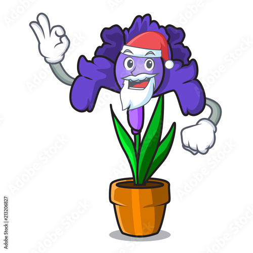 Santa iris flower mascot cartoon