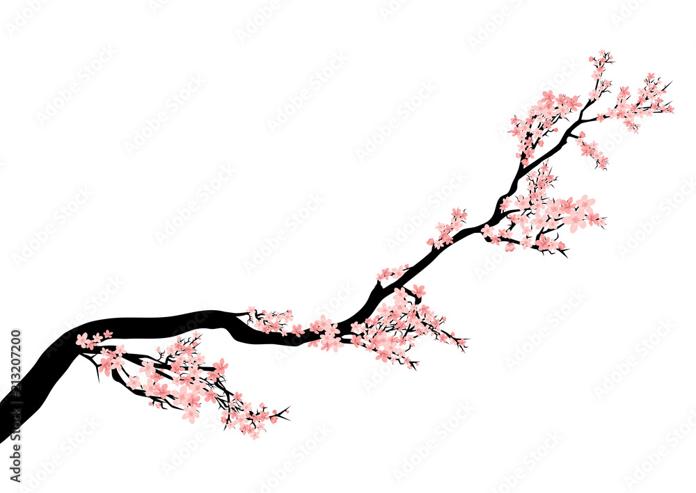 Naklejka premium blooming cherry tree branch - spring season asian style vector decor