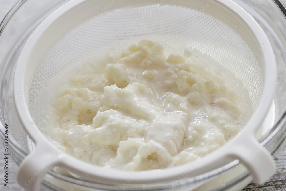 Kefir fungus Kefir fungus