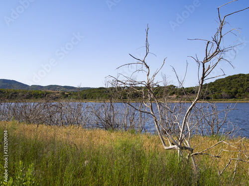 lago Baratz photo