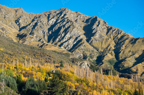 Arrow river in summer, historic gold mining town South Island of New Zealand.