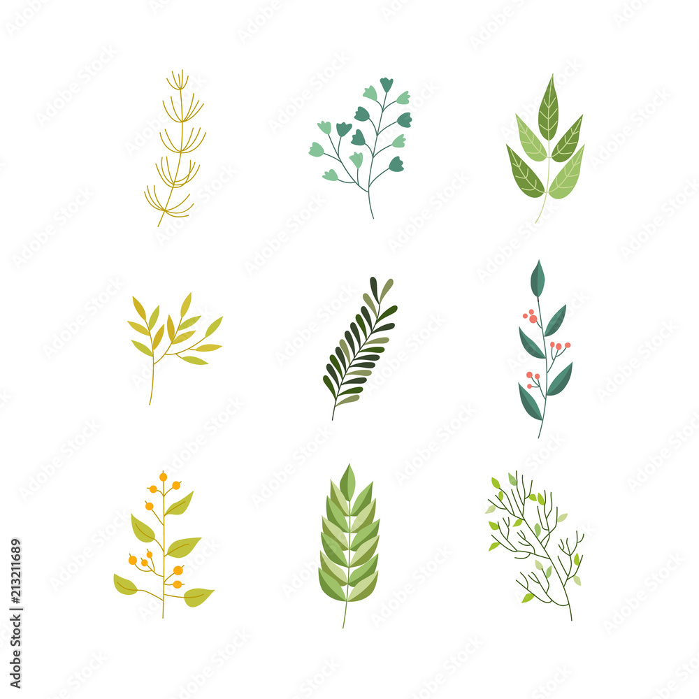 Vector flat abstract green plant herb set icon. Wild meadow field garden spring easter women day romantic holiday wedding invitation card decoration element summer floral Illustration white background Vector flat abstract green plant herb set icon. Wild meadow field garden spring easter women day romantic holiday wedding invitation card decoration element summer floral Illustration white background