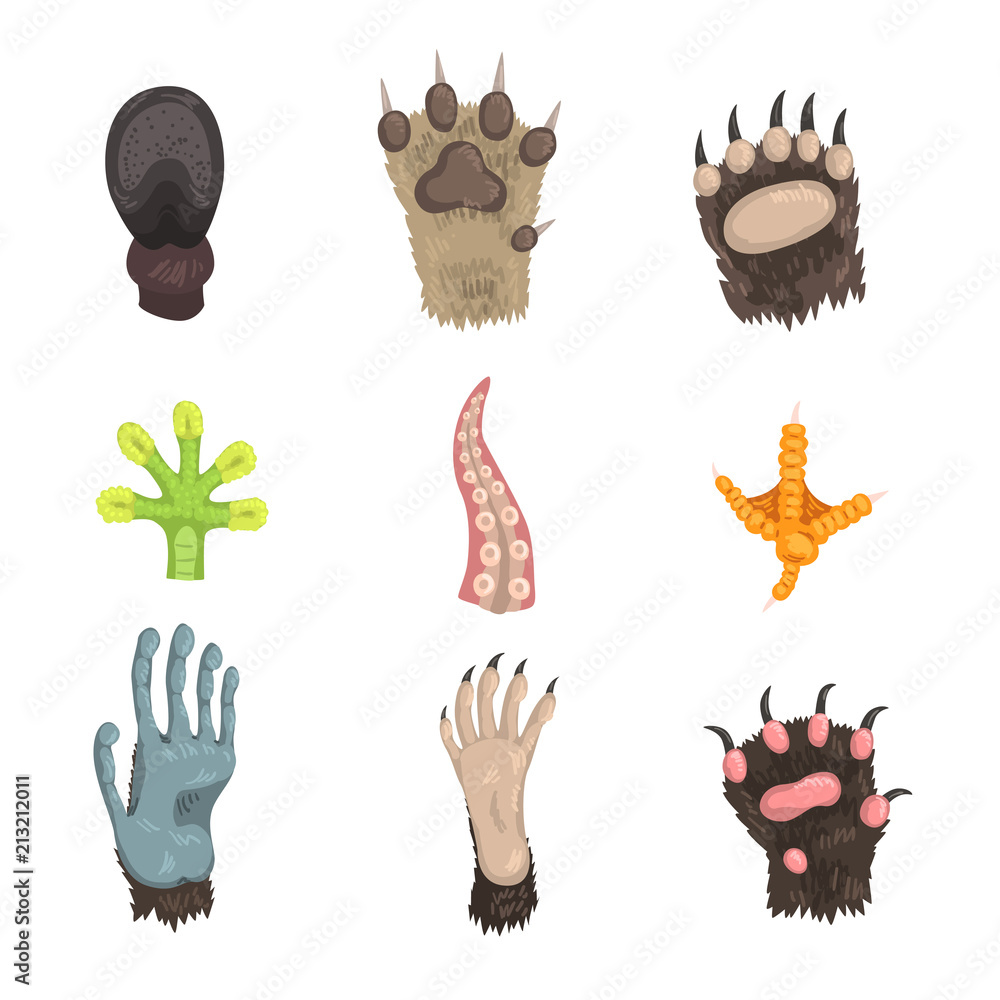Fototapeta premium Flat vector set of paws of various animals: dog, bear, cat, frog, monkey, chicken leg, horse hoof and tentacle of octopus