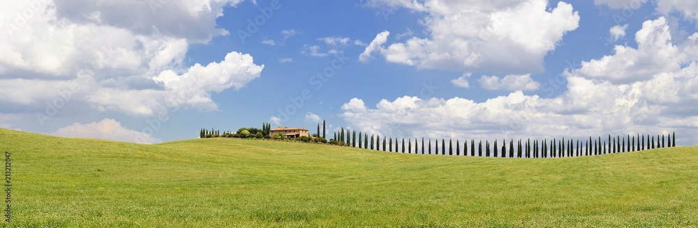 Cypress trees and meadow with typical tuscan house.