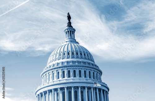United States Capitol Building in Washington DC