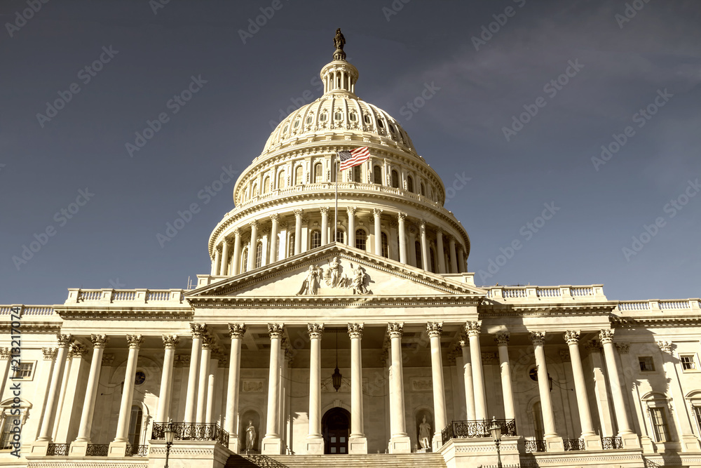 Obraz premium United States Capitol Building in Washington DC