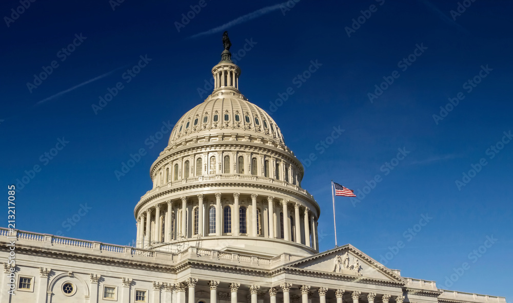 United States Capitol Building in Washington DC