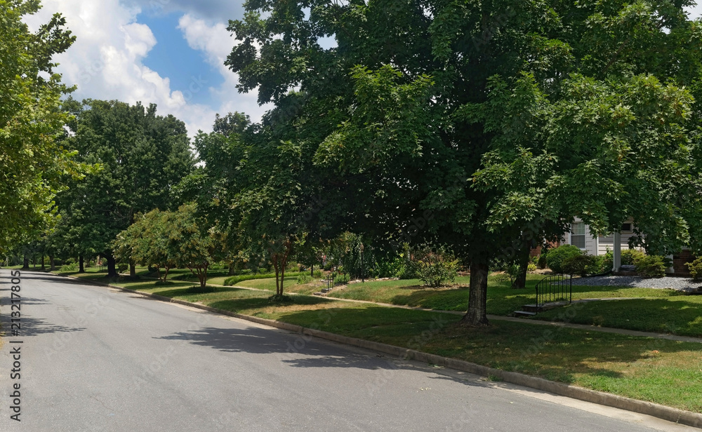 Quiet urban neighborhood street. Quiet urban neighborhood street.