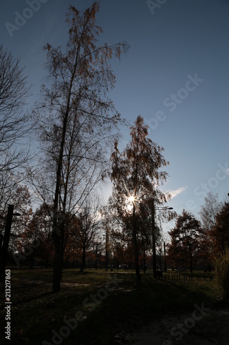 Fototapeta Naklejka Na Ścianę i Meble -  jura krakowsko-częstochowska
