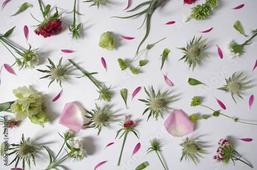 Obraz na plátně fond fleurs