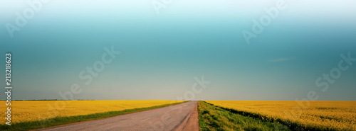 blurred background, blooming field and road, rural landscape, panorama.