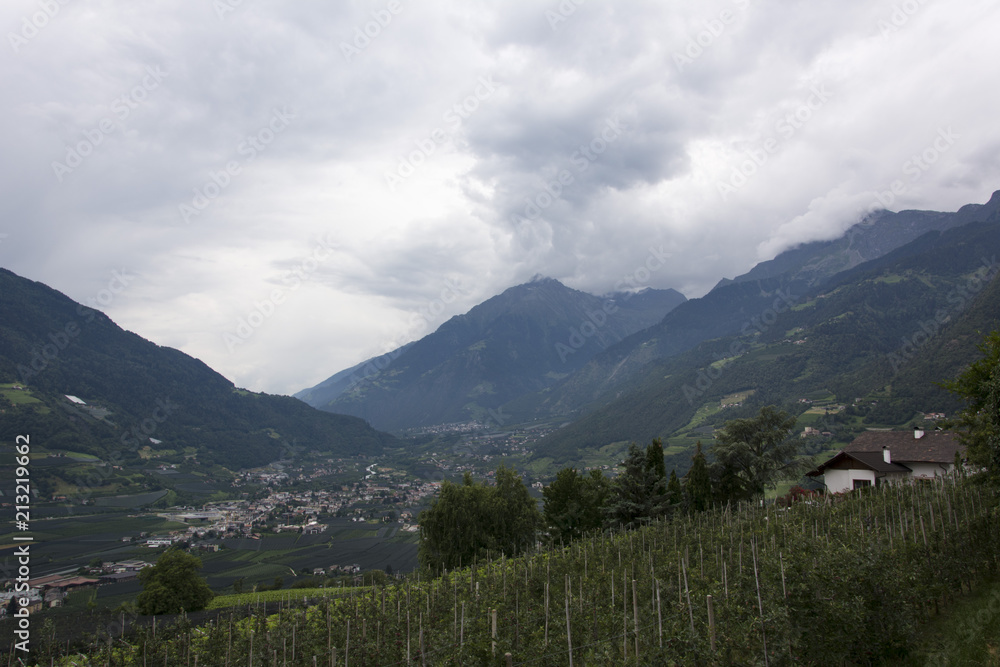 Tirolo