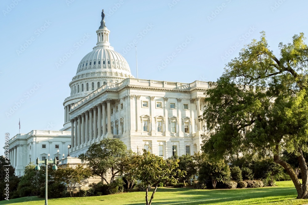 Obraz premium United States Capitol Building, Washington DC, USA