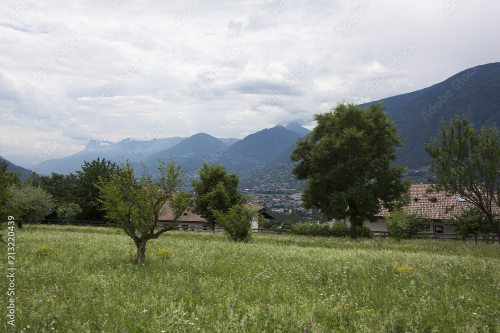 Tirolo