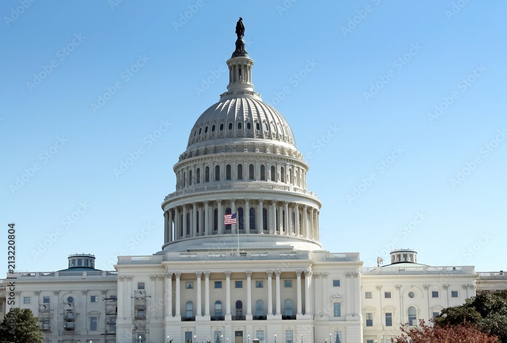 Obraz premium Capitol Building in Washington DC USA 