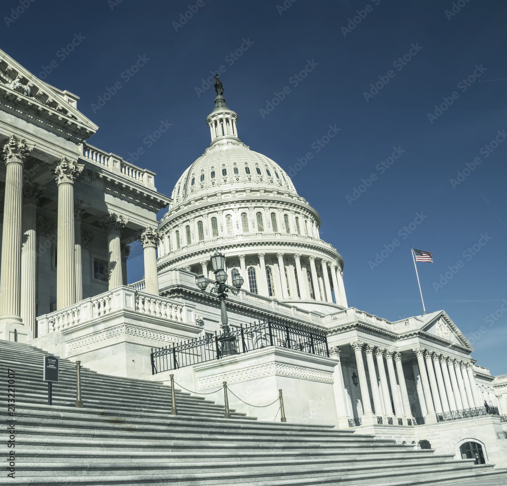 Fototapeta premium Capitol Building in Washington DC USA 