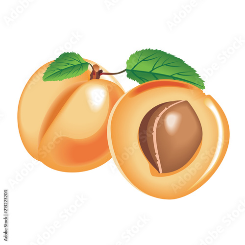 apricot