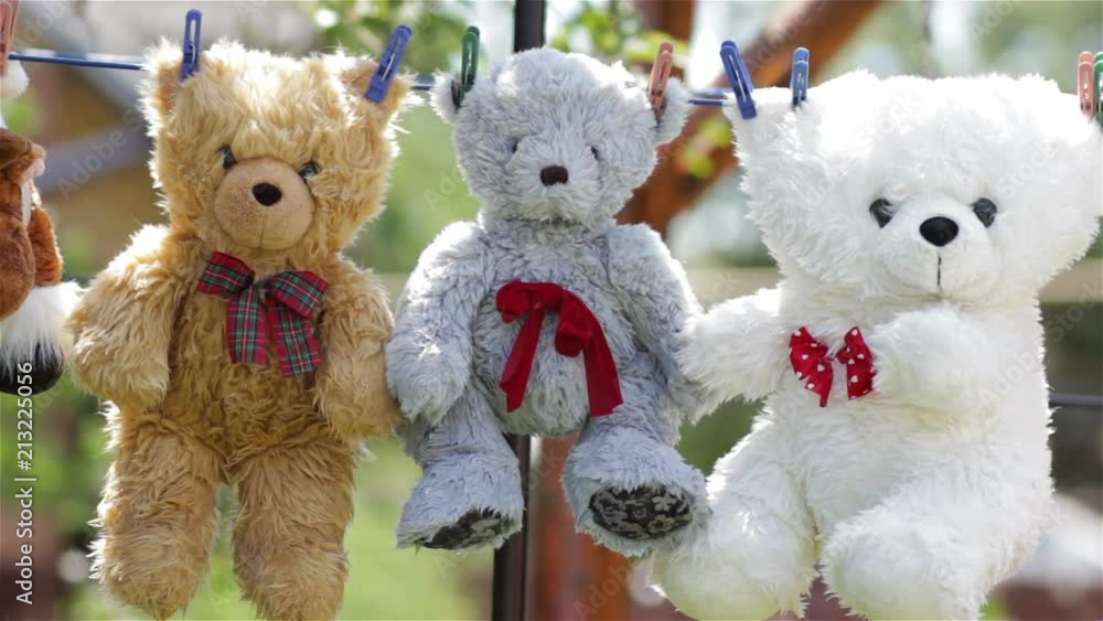 teddy bear hang,three soft toys of wet teddy bear dried on a rope vídeo