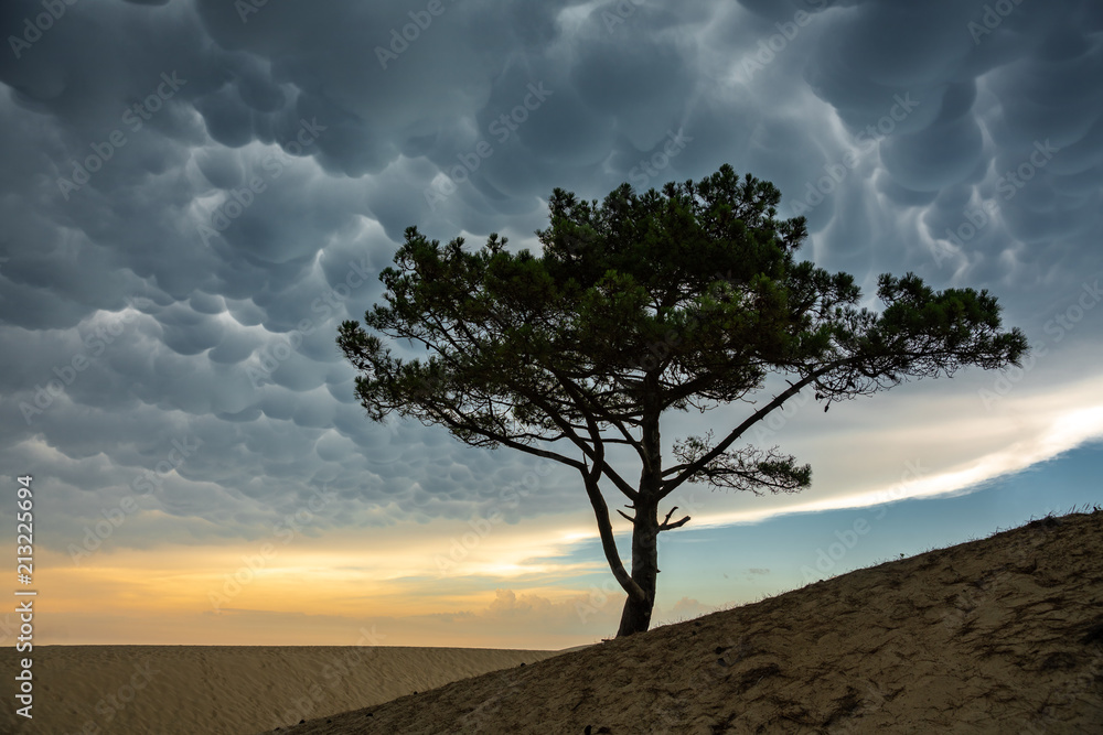 Sunset walk and dramatic sky over the Dune de Pilat in France on the Atlantic Ocean