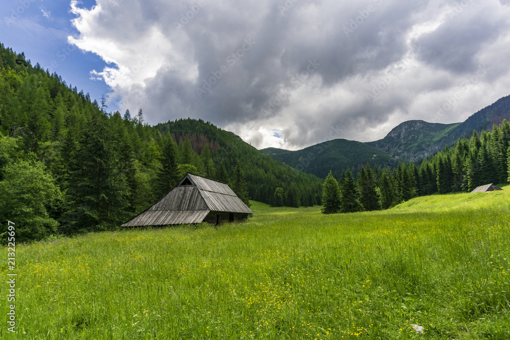 Old huts on the Jaworzynka Valley. Tatra Mountains. Poland.