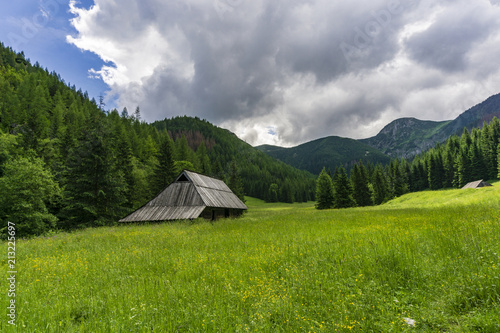 Old huts on the Jaworzynka Valley. Tatra Mountains. Poland.