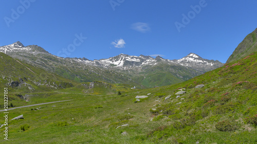 Panorama visto dall'alto della prateria alpina