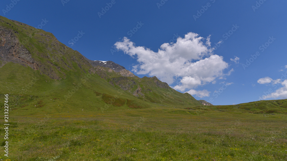 Panorama della prateria alpina con cielo blu e nuvola bianca