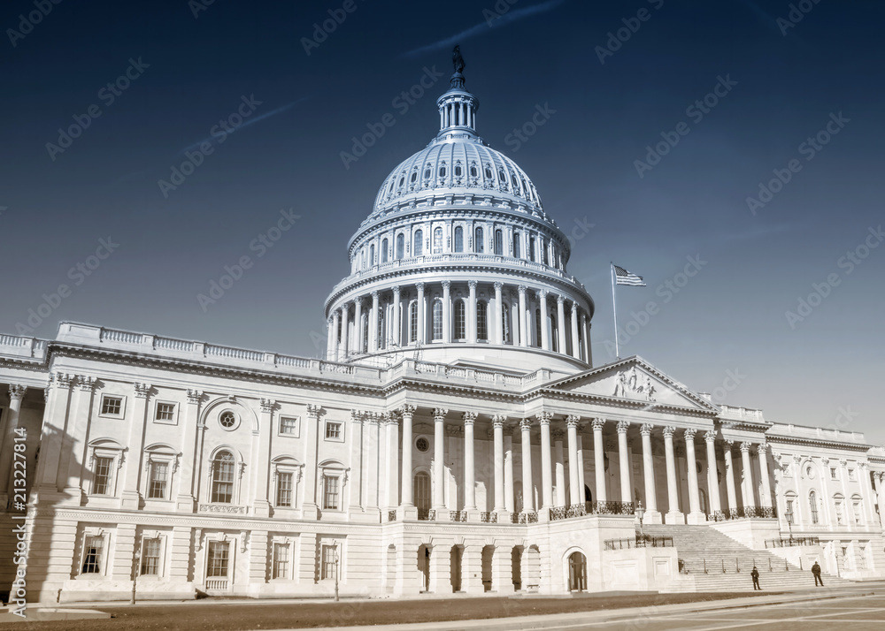 Fototapeta premium The United States capitol building in Washington DC on a summer day.