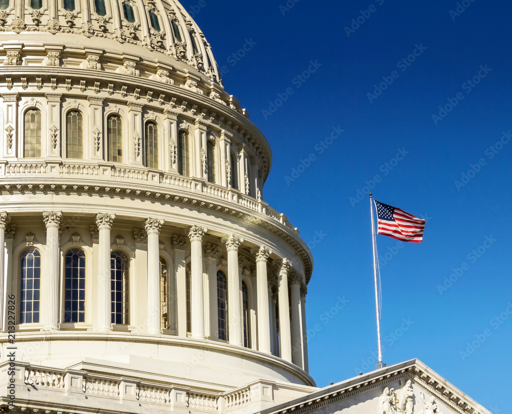 The United States capitol building in Washington DC on a summer day.