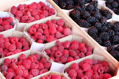 Boxes with blackberry and raspberry from farmers market. Healthy local organic food summer market.