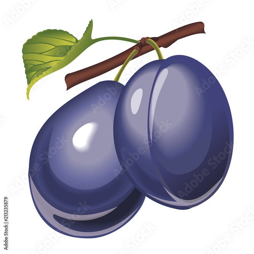 plum