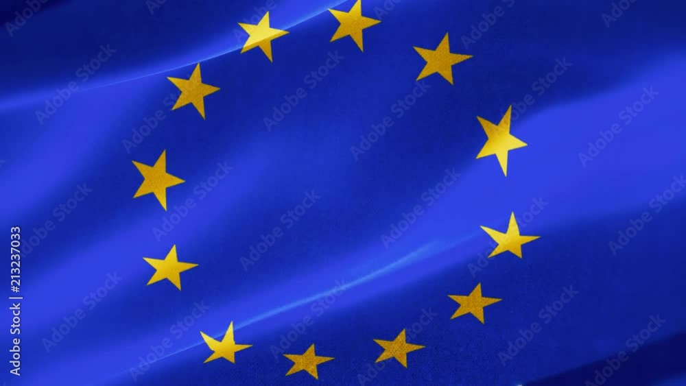 The European Flag is an official symbol of two separate organisations—the Council of Europe (CoE) and the European Union (EU). The European Flag is an official symbol of two separate organisations—the Council of Europe (CoE) and the European Union (EU).