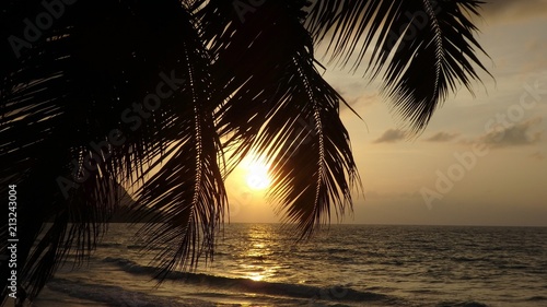 Sonnenuntergang unter Palmen 