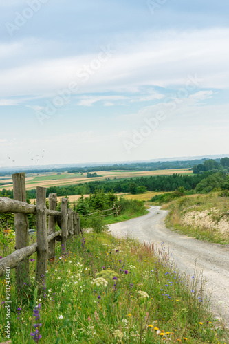 A country road among fields and blossoming meadows