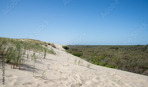 Fotografía Plage phare de la Coubre Charente Maritime France