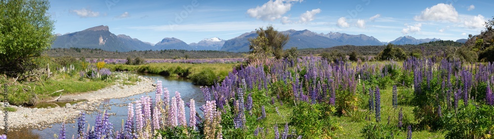 Panoramic view of a small river and mountain range approaching the fiordland area of New Zealand. Focus is on the mid range purple Foxglove plants. Panoramic view of a small river and mountain range approaching the fiordland area of New Zealand. Focus is on the mid range purple Foxglove plants.